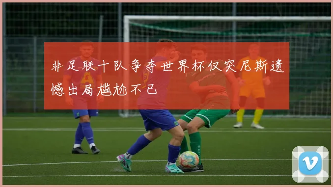 非足联十队争夺世界杯仅突尼斯遗憾出局尴尬不已